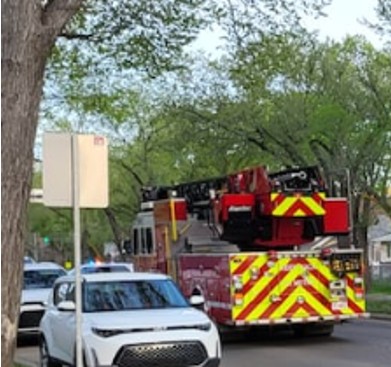 Bear tranquilized near downtown Regina