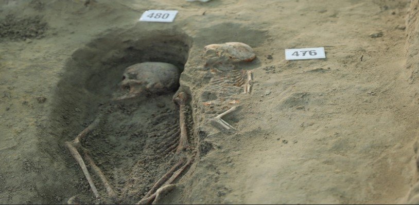 491 skeletons identified from Chemmani mass grave