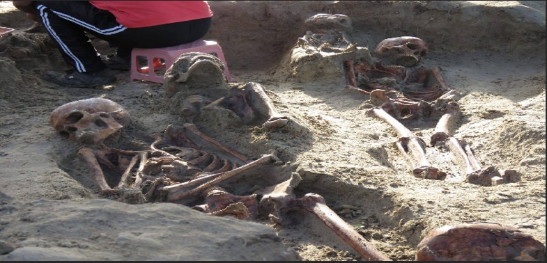 Genuine perpetrators of Chemmani mass grave case will be punished: Government