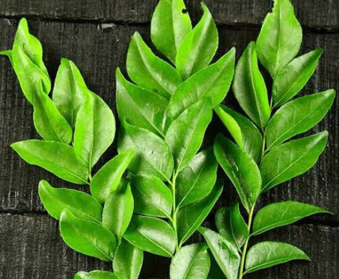 Is chewing raw curry leaves good for hair?