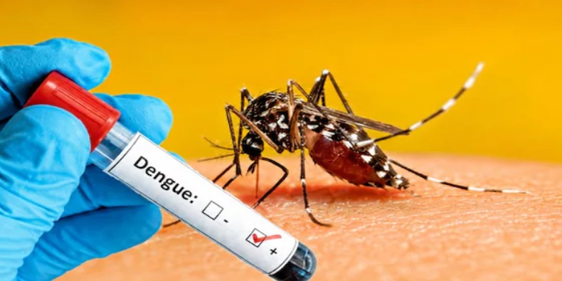 People with Type 2 diabetes may raise the risk of severe dengue
