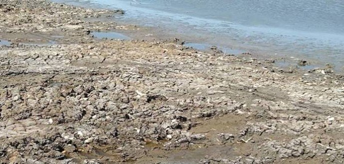115,534 People Affected by Drought