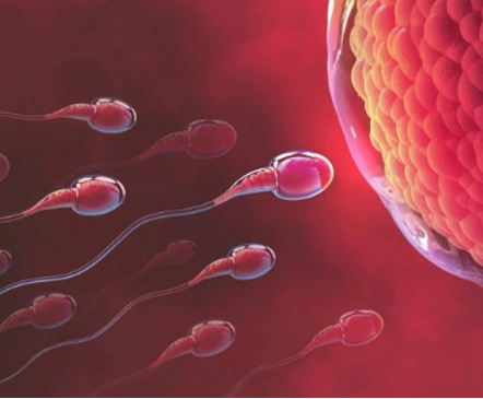 Male infertility on the rise