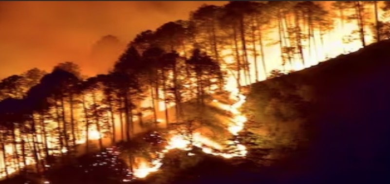 Uttarakhand to Tamil Nadu: Parts of India in grip of forest fires