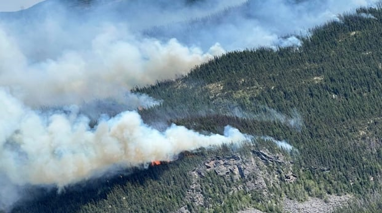 Forest fires nearly doubled in 2 decades