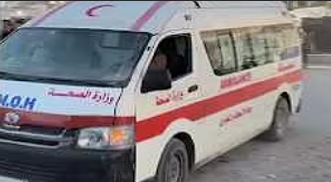 2 dead in Gaza strikes