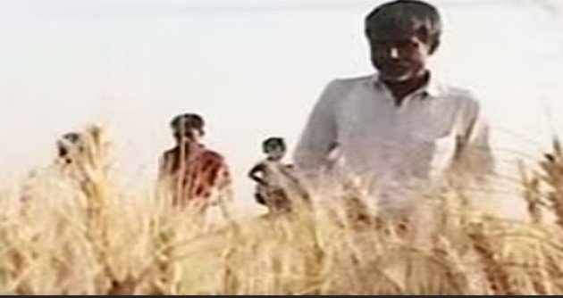Bangladesh looks to India for wheat