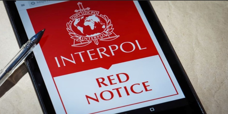 Red Notices Issued Against 226 Persons Hiding Abroad