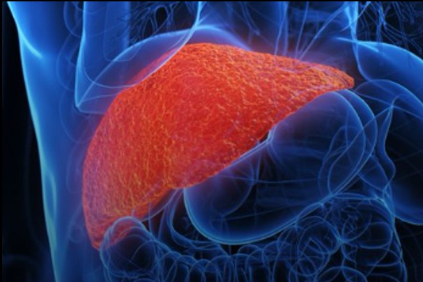Liver cancer cases to double by 2050