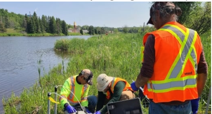 Mercury poisoning near Grassy Narrows First Nation worsened by ongoing industrial pollution