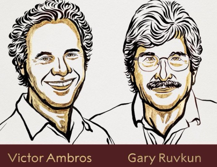 Nobel Prize 2024 in Medicine to Victor Ambros and Gary Ruvkun for miRNA discovery