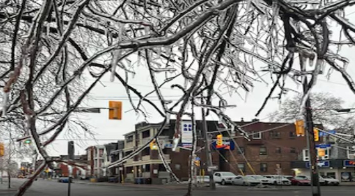 Schools closed, buses cancelled