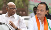 Supreme Court bars Ajit Pawar from using Sharad Pawar's photos for poll campaign