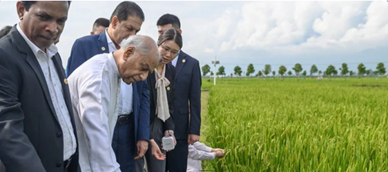 Sri Lanka invites Chinese experts to begin pilot project on high-yielding paddy farming