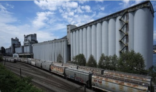 Metro Vancouver grain terminal workers begin strike