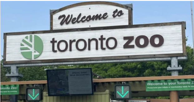 Toronto Zoo sees climb in attendance, revenue since COVID-19 pandemic