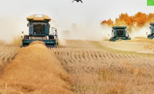 AI can help overcome barriers in biodiesel production, study finds