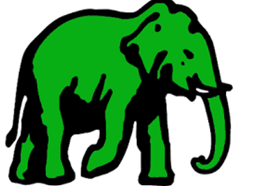 UNP decides to contest all upcoming elections only under ‘elephant’ symbol