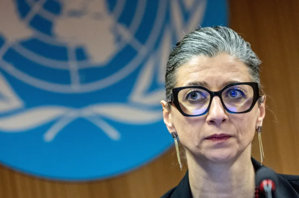 UN expert says she faces threats after Israel-Gaza genocide report