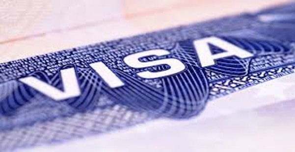 E-Visa Service Providers Fail to Pay Over USD 1.4 Million in Taxes