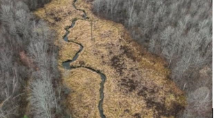 Large wetland near Tewin development gets protected