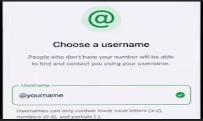 Indian govt orders Meta to halt WhatsApp username rollout, seeks reply in 3 days
