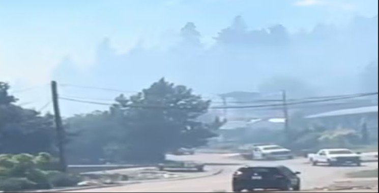 Wildfire that prompted evacuations in West Kelowna was caused by prohibited campfire, officials say