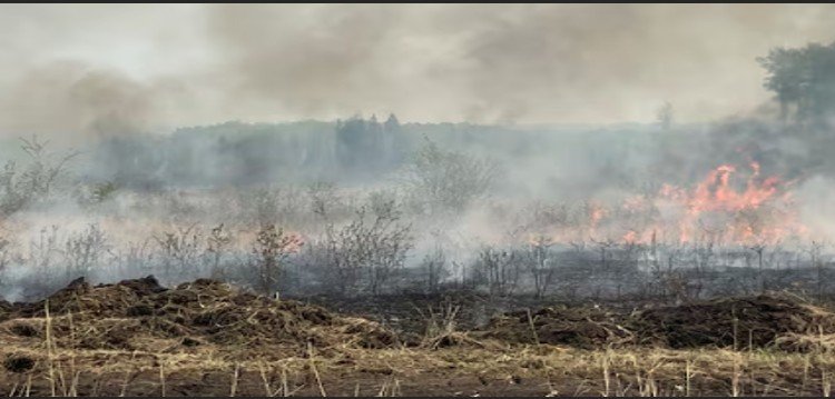 Northern Indigenous community suing Alberta government for 2023 wildfire response